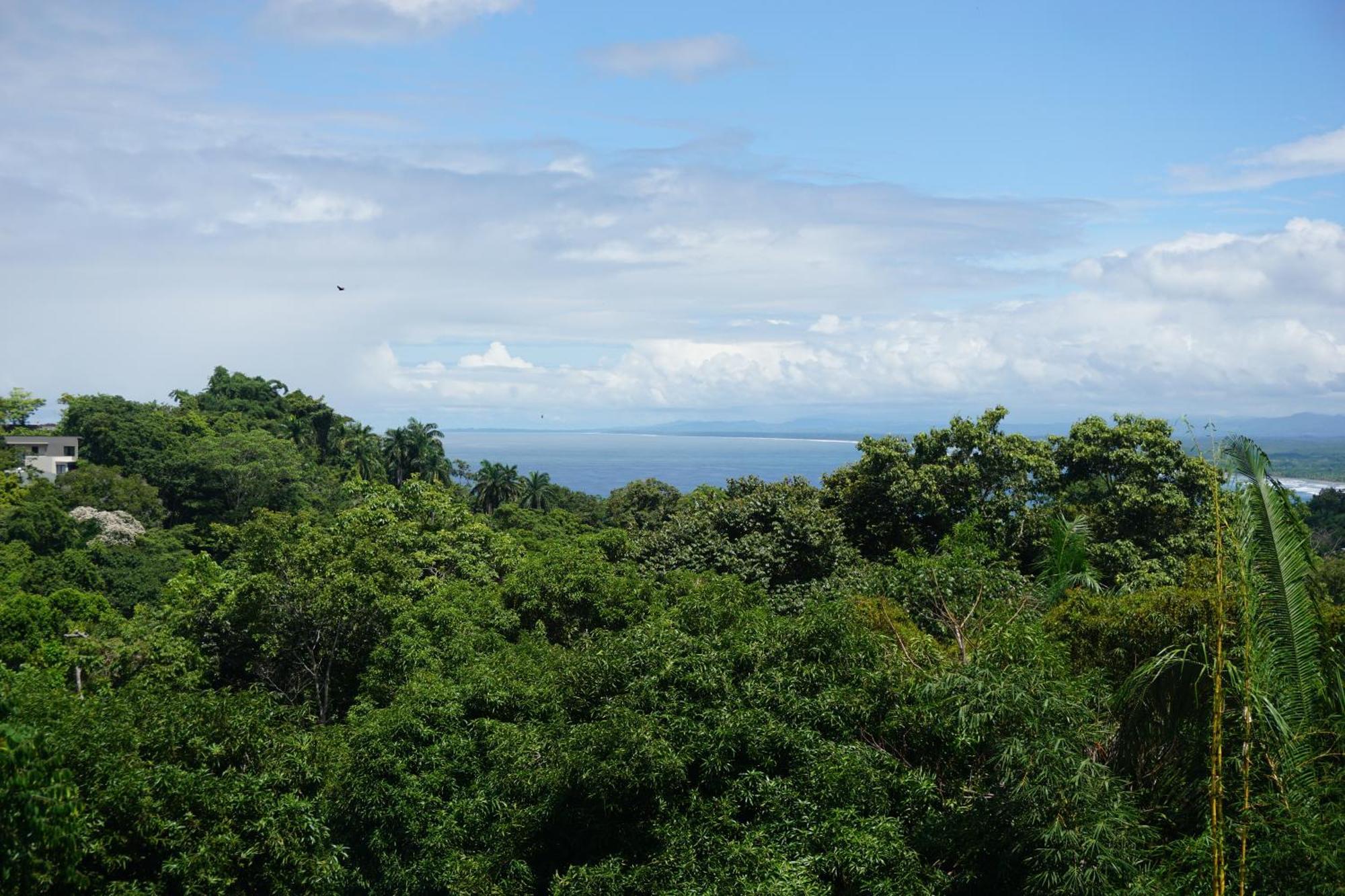 Hotel Planeta Sano Vườn quốc gia Vườn quốc gia Manuel Antonio Ngoại thất bức ảnh