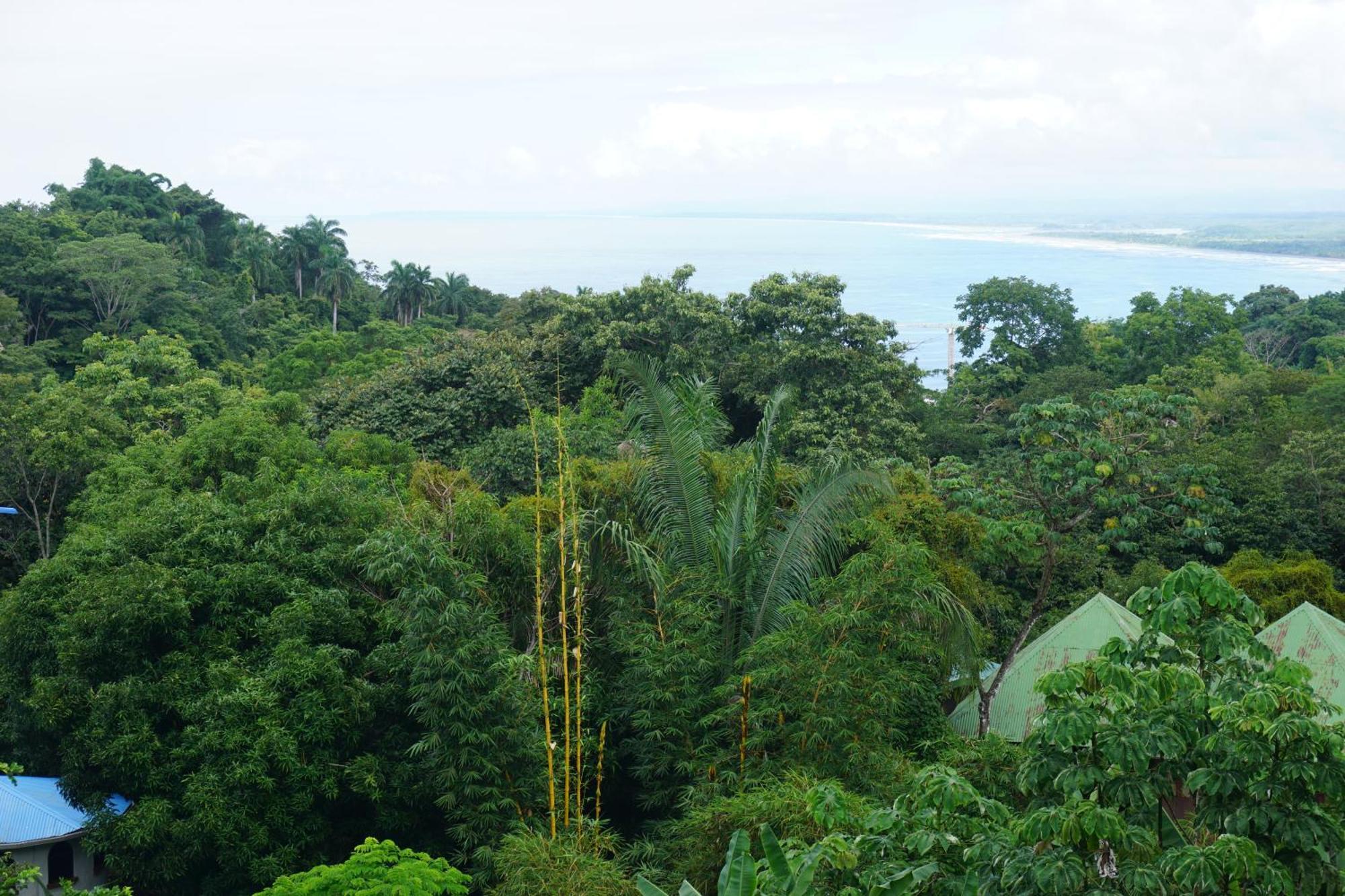 Hotel Planeta Sano Vườn quốc gia Vườn quốc gia Manuel Antonio Ngoại thất bức ảnh